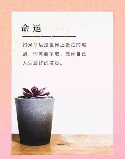 四字干净短句励志