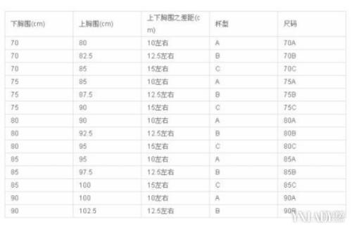 38胸围相当于是多大