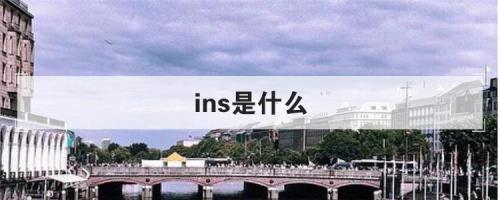 Ins是什么意思