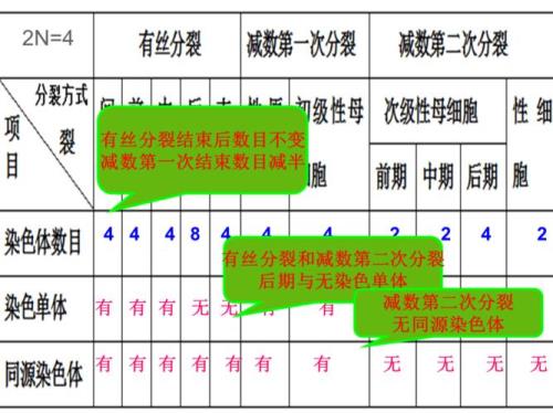 细胞分裂时染色体的变化