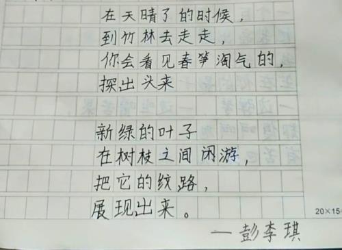 无论仿写什么意思