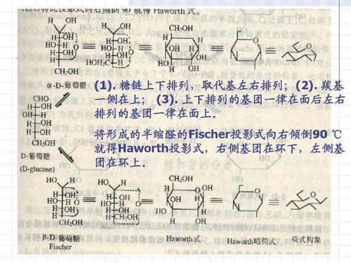 糖的生成化学方程式