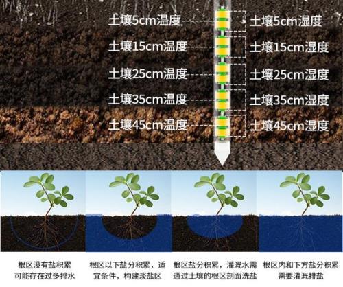 土壤墒情较好情况是什么意思