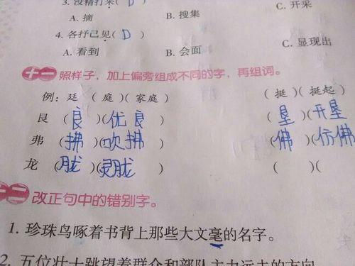 周字可以怎么组词