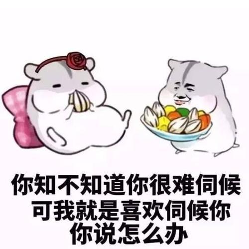 别人说咋整，怎么幽默回复