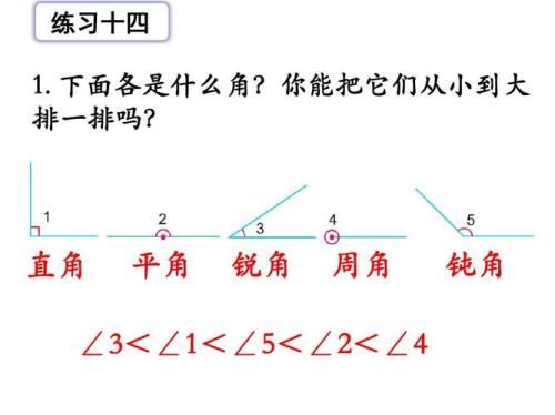 四年级周角有多少条边