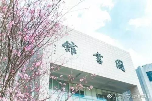 云南大学校花排行榜