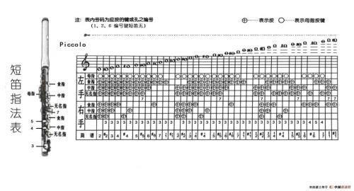 电吹管八度c5是什么意思