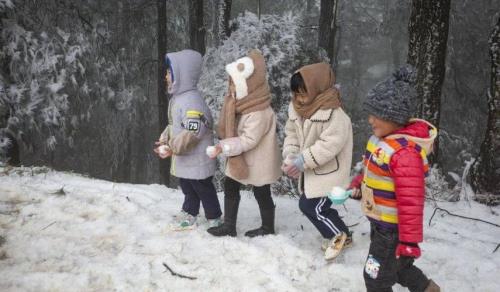 今天的天气真冷啊写一段排比句