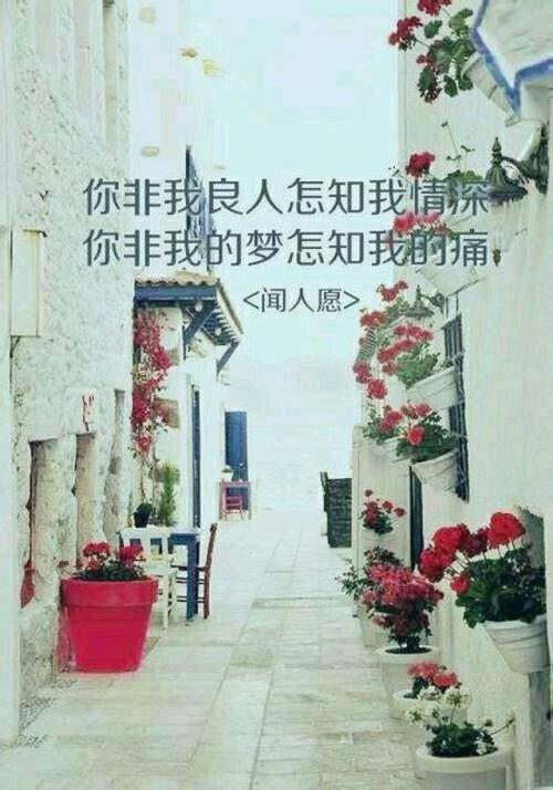 我是良人是什么意思