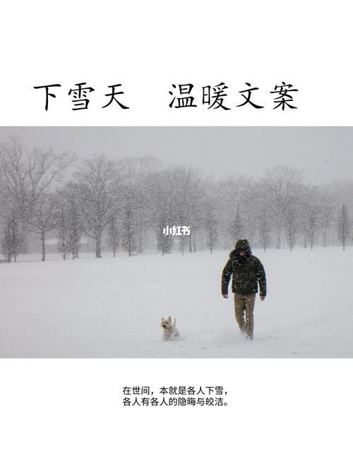 冬季下雪文案