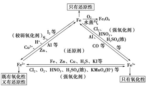 石蕊的化学式