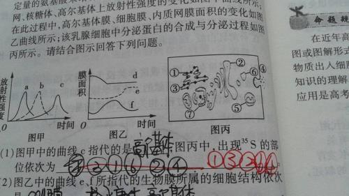 高尔基体是几层膜