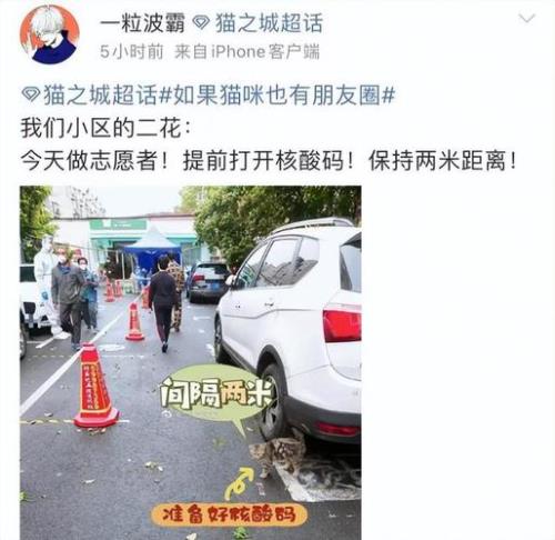 帅醒朋友圈的评论