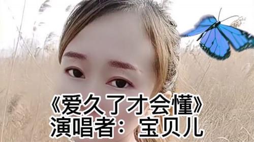 入了心的人歌词什么意思