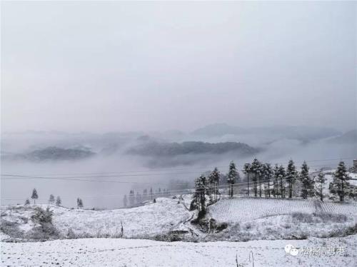 为什么贵州经常会下雪