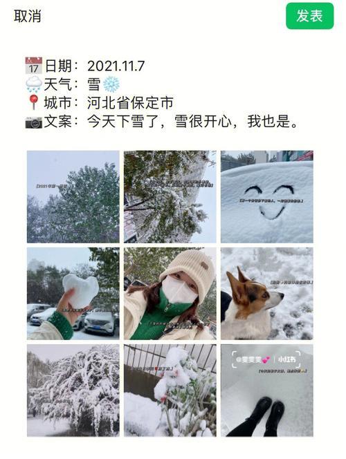 下雪的视频文案