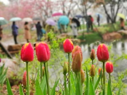 春天有风夏天有雨下一句