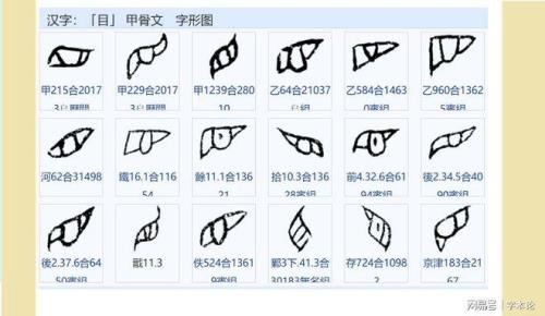 目和眼睛有关的字