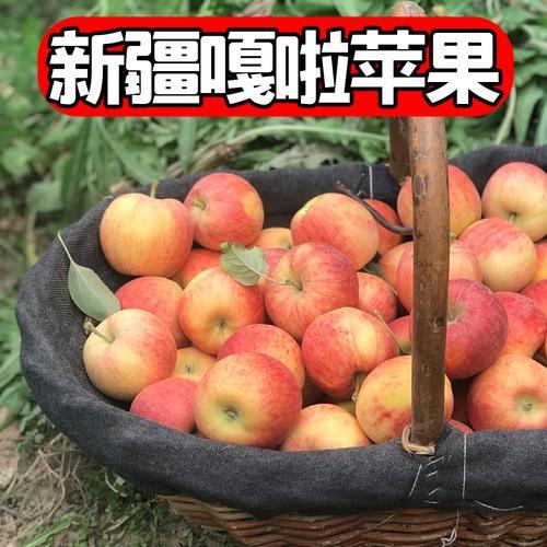 为什么叫旮旯苹果