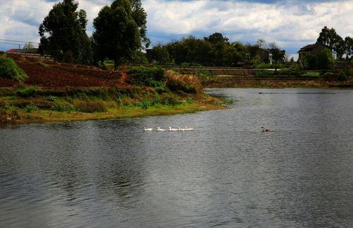 什么的河水流过什么的田野填空