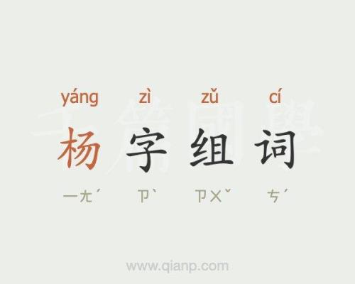 杨字怎么组词