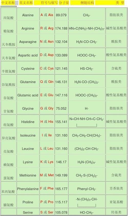 氨基酸是什么