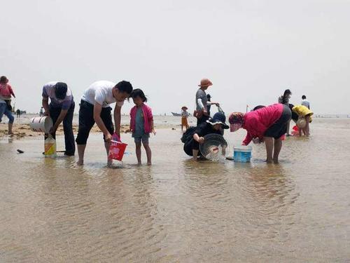 亚龙湾赶海几点钟去