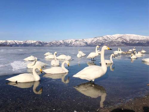 大雪人和颜落是同一个人吗