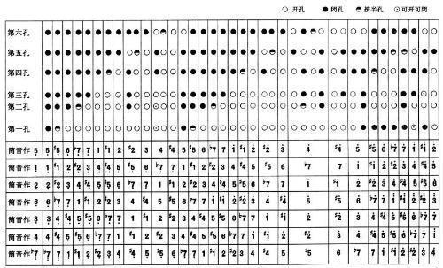 f调是什么意思