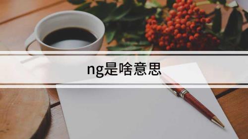 ng是什么单位