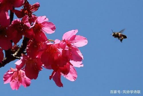 风吹铃动停不动的下联