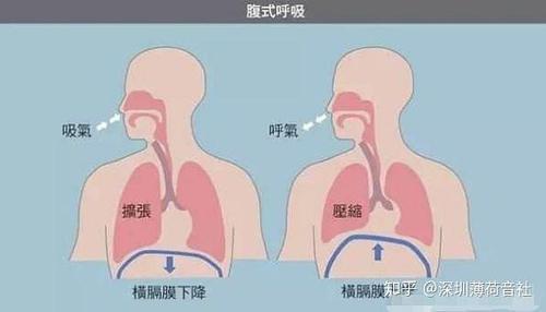 怎样练肺活量最有效