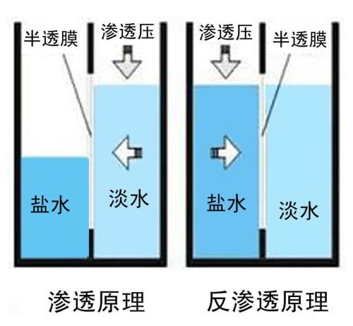 反渗透的原理