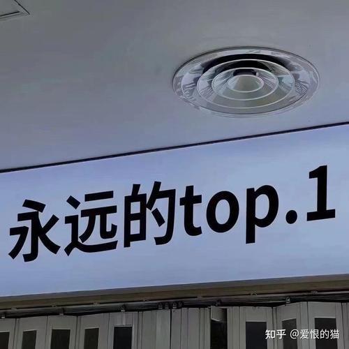 TOP1代表是什么意思