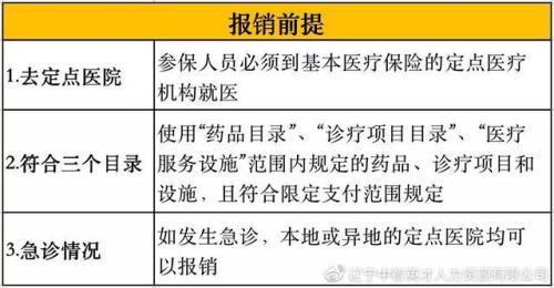 报销的意思是什么