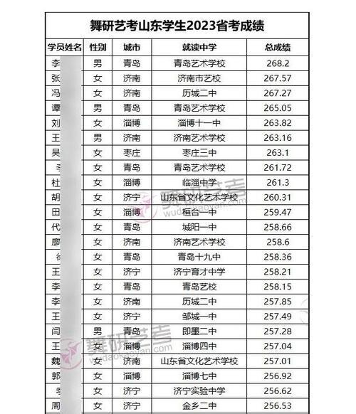 艺考230分成绩怎么样