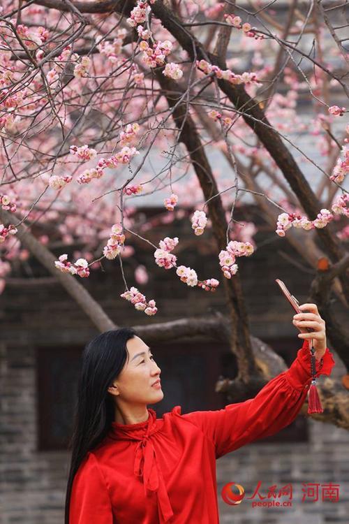 梅花和红衣的句子