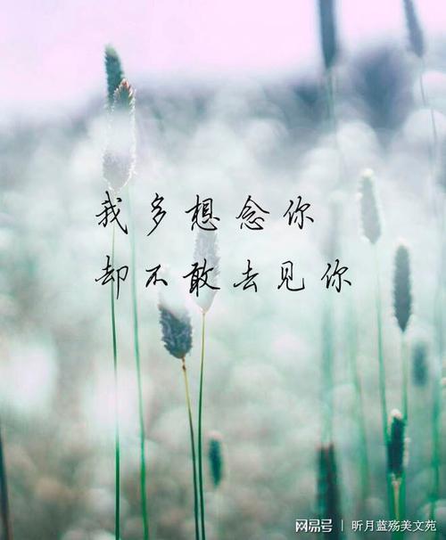 我多想见到你歌曲名字