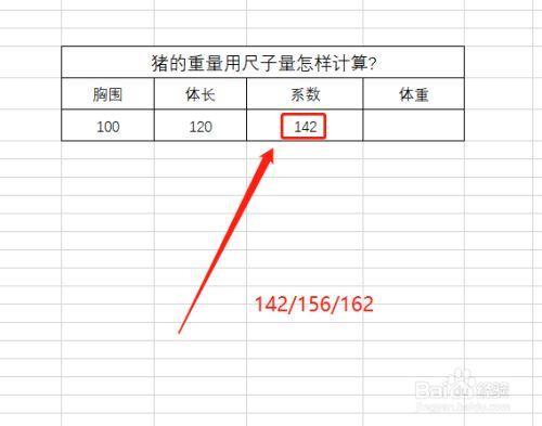 一头猪重300什么单位