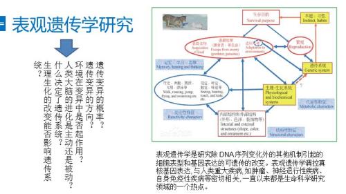 遗传中表现性名词解释