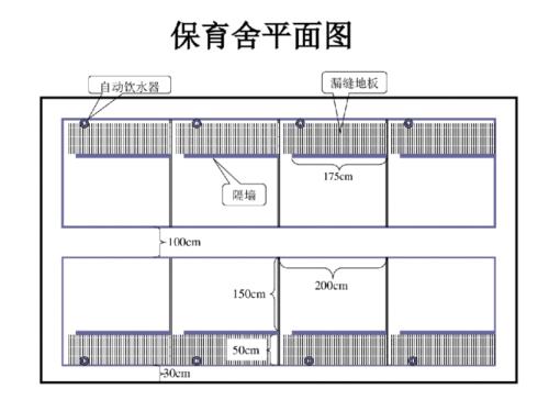 20头小型猪舍建造