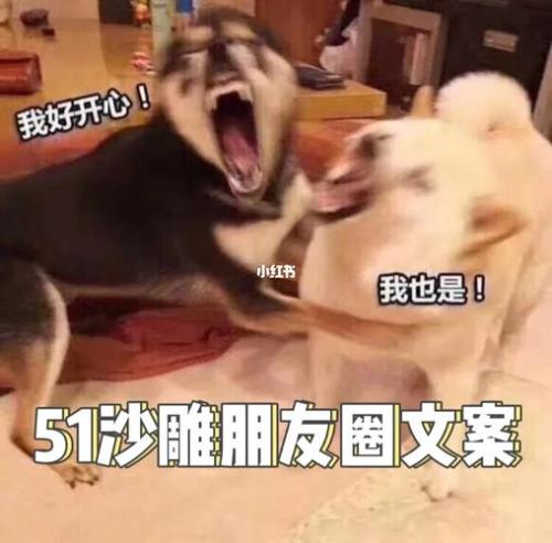 沙雕文案朋友圈搞笑