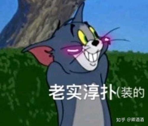 陌生人说小哥哥你好怎么回