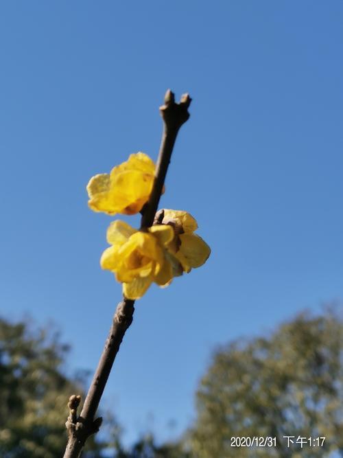 年末岁尾的意思是什么