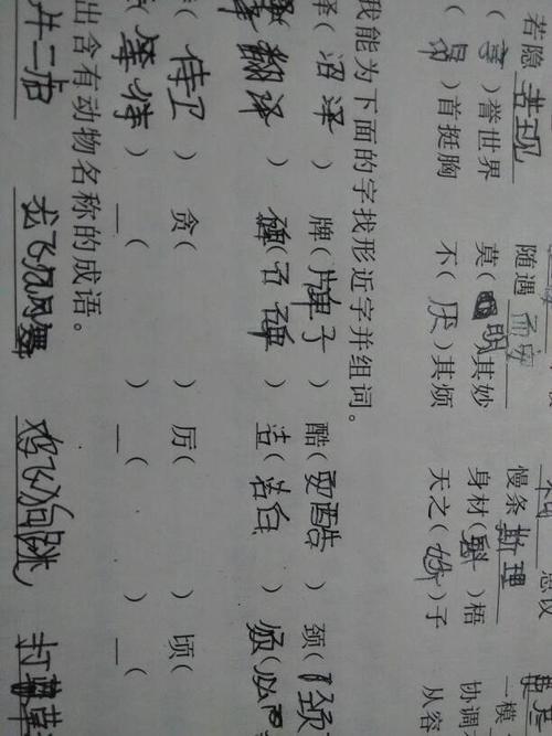 之字的组词