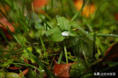 风凄凄雨绵绵的意思