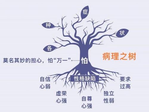 神经范什么意思