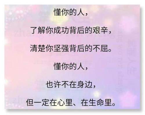 懂你歌词表达什么感情