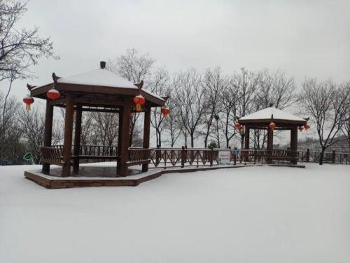 瑞雪纷飞兆丰年的下一句是什么